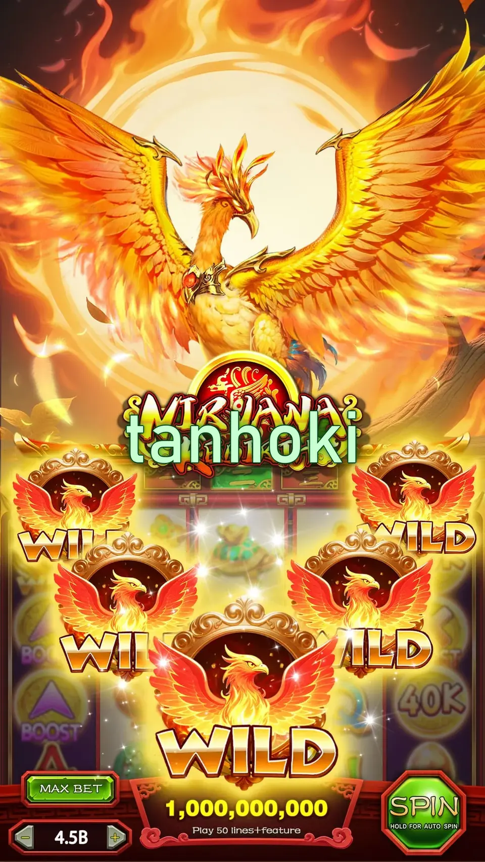 tanhoki Masuk